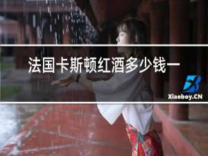 法国卡斯顿红酒多少钱一瓶