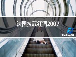 法国拉菲红酒2007