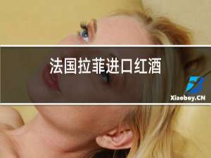 法国拉菲进口红酒