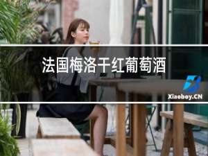 法国美乐干红葡萄酒
