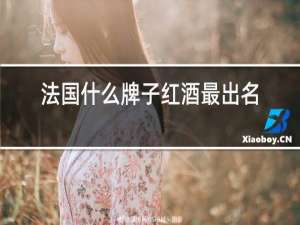 法国什么牌子红酒最出名