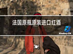 法国原瓶原装进口红酒