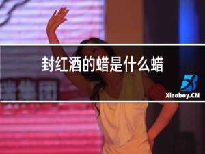 封红酒的蜡是什么蜡