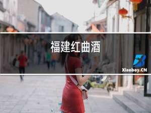 福建红曲酒