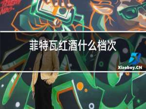 菲特瓦红酒什么档次