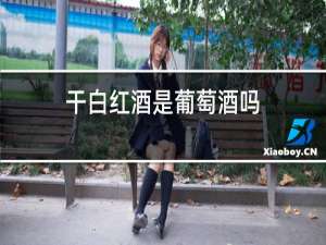 干白红酒是葡萄酒吗