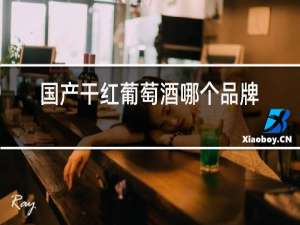 国产干红葡萄酒哪个品牌好