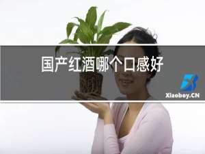 国产红酒哪个口感好