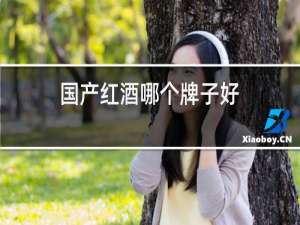 国产红酒哪个牌子好?