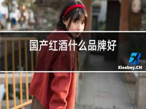 国产红酒什么品牌好