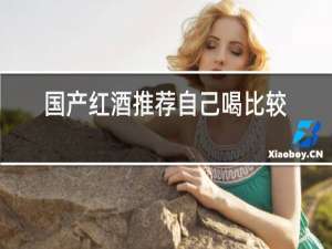 国产红酒推荐自己喝比较好的性价比