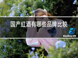 国产红酒有哪些品牌比较好