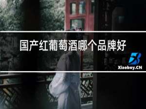 国产红葡萄酒哪个品牌好