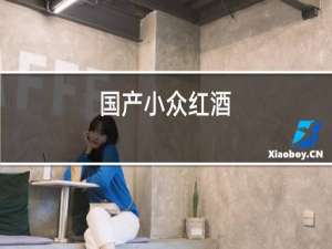 国产小众红酒