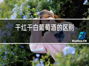 干红干白葡萄酒的区别