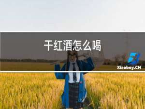 干红酒怎么喝
