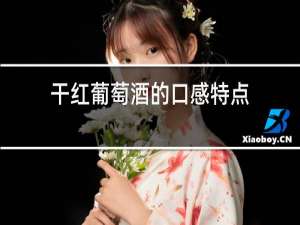 干红葡萄酒的口感特点