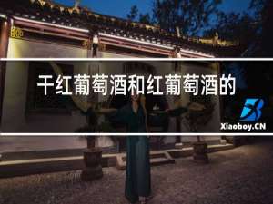 干红葡萄酒和红葡萄酒的区别