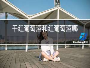 干红葡萄酒和红葡萄酒哪个好
