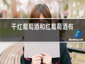 干红葡萄酒和红葡萄酒有什么区别