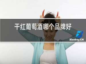 干红葡萄酒哪个品牌好