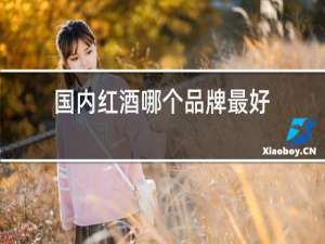 国内红酒哪个品牌最好