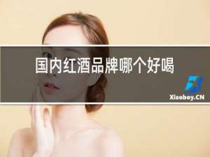 国内红酒品牌哪个好喝