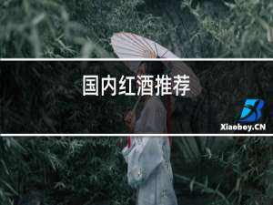 过年红酒推荐