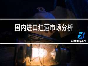国内进口红酒市场分析