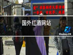 国外红酒网站