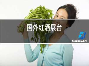 国外红酒展台
