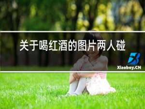 关于喝红酒的图片两人碰杯