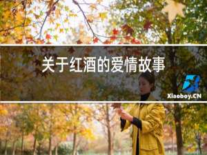 关于红酒的爱情故事