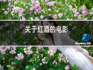 关于红酒的电影