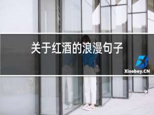 关于红酒的浪漫句子