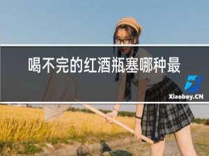 喝不完的红酒瓶塞哪种最好
