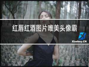 红唇红酒图片唯美头像霸气