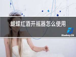 蝴蝶红酒开瓶器怎么使用