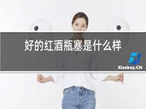 好的红酒瓶塞是什么样