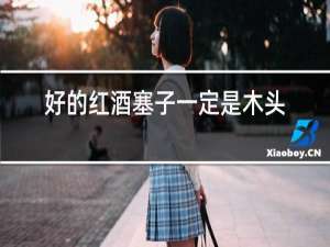 好的红酒塞子一定是木头的吗