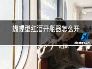 蝴蝶型红酒开瓶器怎么开红酒