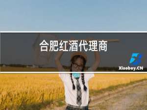 合肥红酒代理商