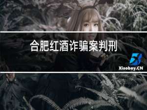 合肥红酒诈骗案判刑