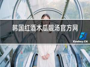 韩国红酒木瓜靓汤官方网站