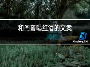 和闺蜜喝红酒的文案