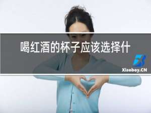 喝红酒的杯子应该选择什么样的