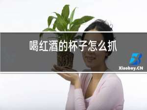 喝红酒的杯子怎么抓