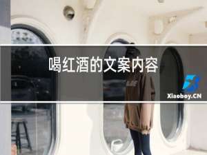 喝红酒的文案内容