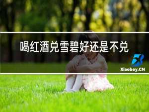 喝红酒兑雪碧好还是不兑红酒好