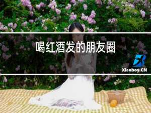 喝红酒发的朋友圈